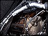 100_2557.JPG
