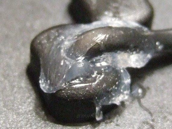 DSCF1286.JPG