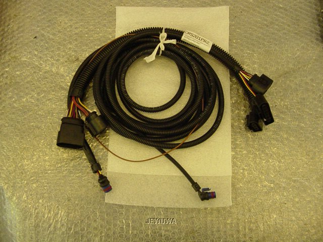 Xenon 008.jpg